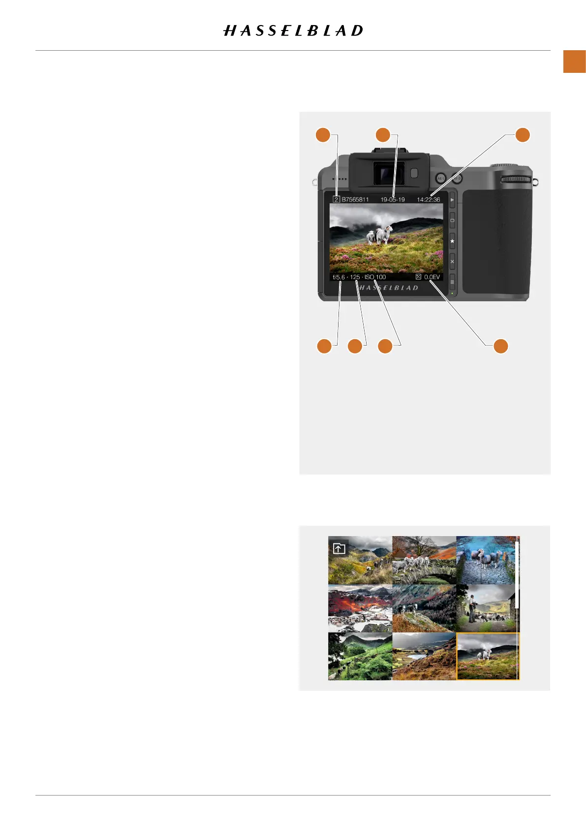 Page #85 background image