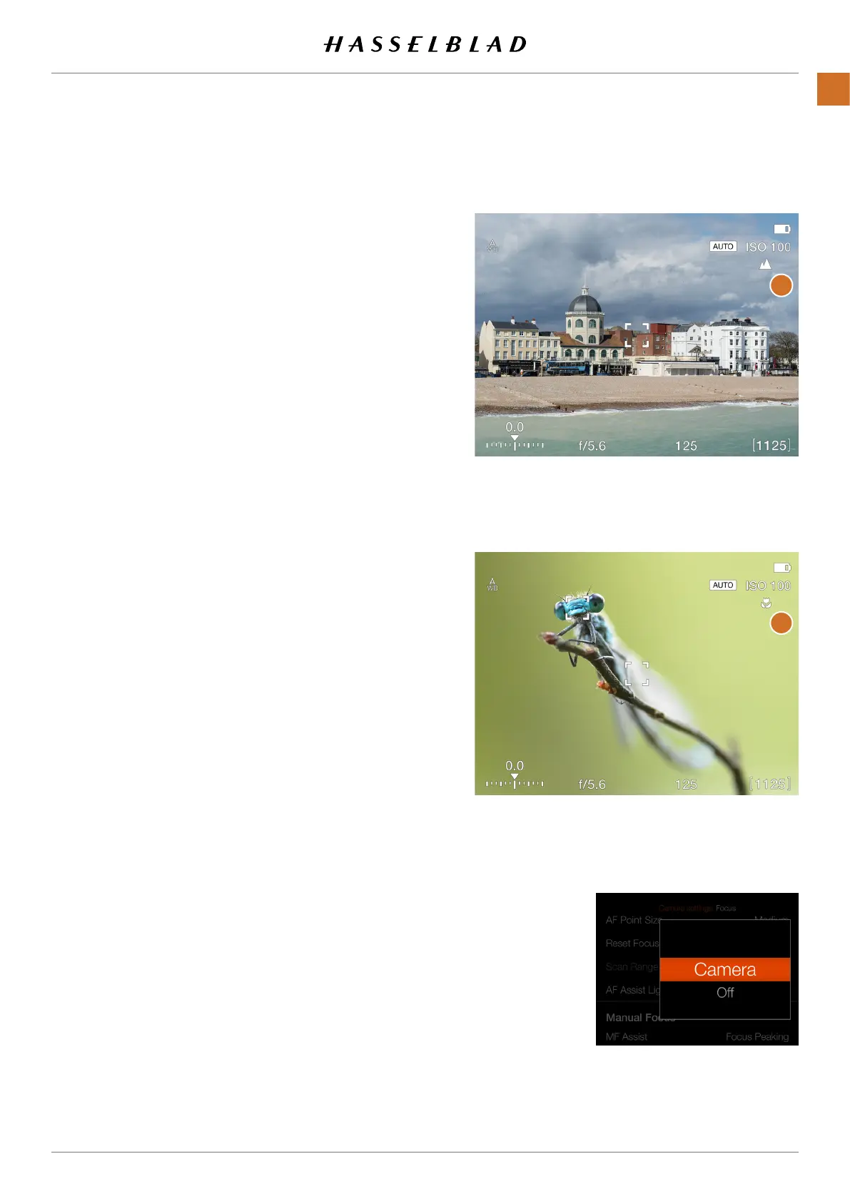 Page #100 background image