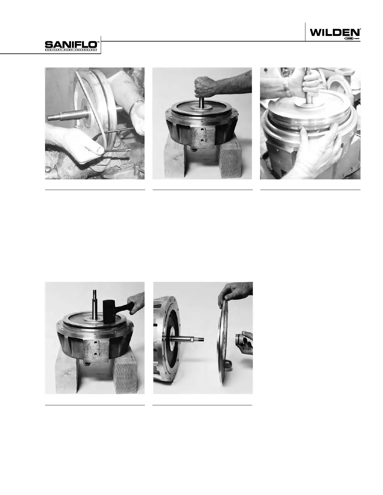Page #19 background image