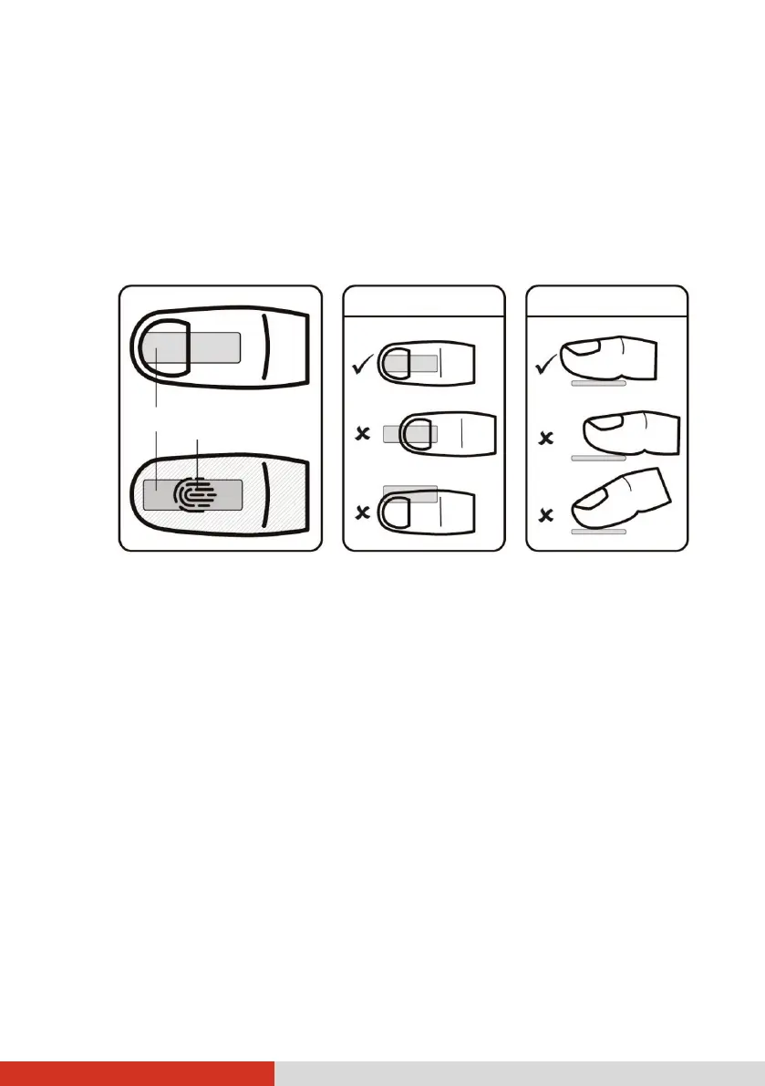 Page #42 background image
