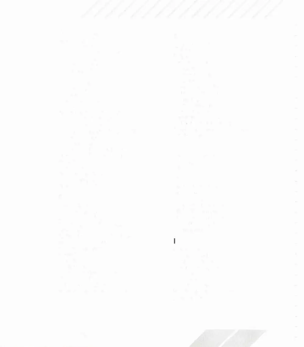 Page #82 background image