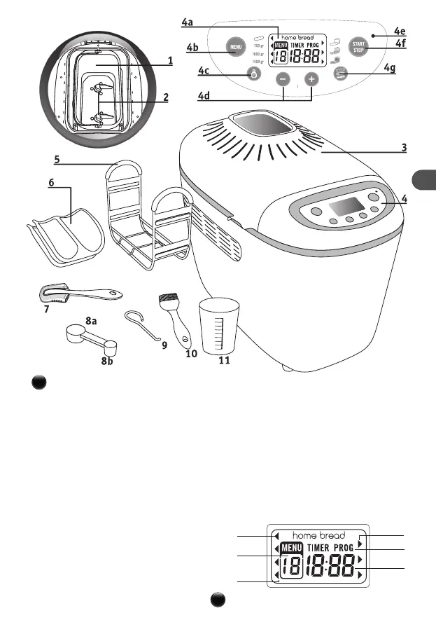 Page #4 background image