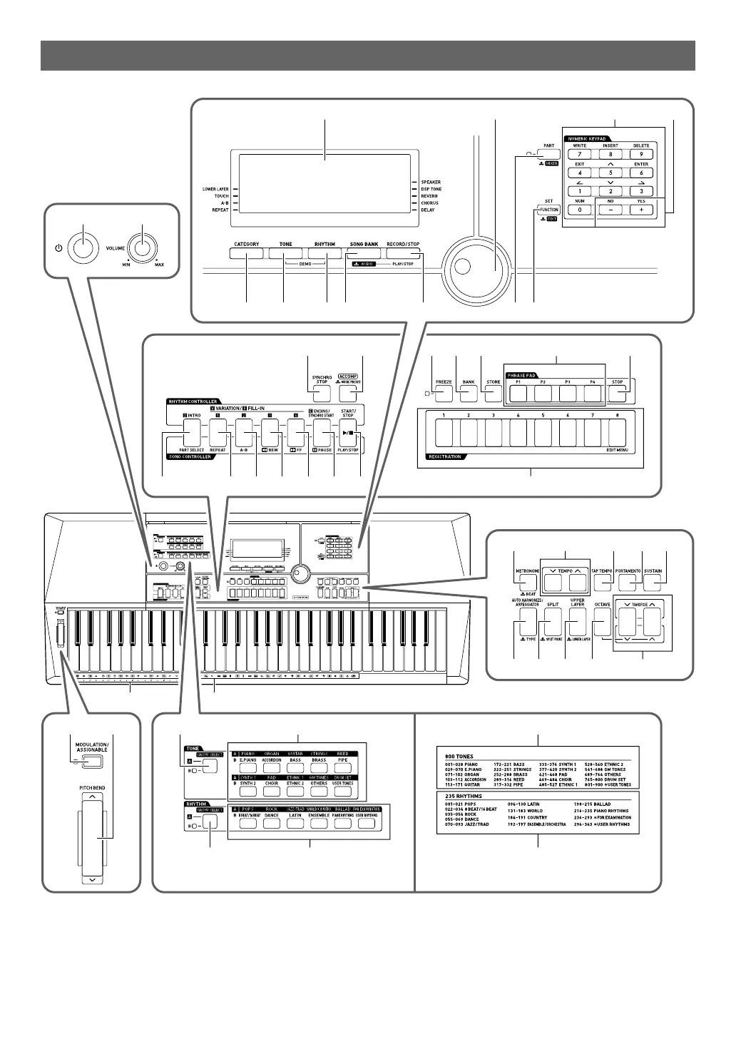 Page #5 background image