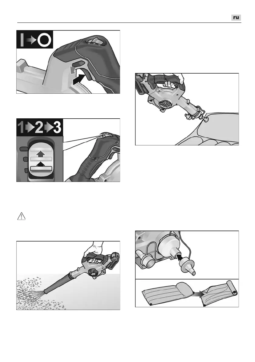 Page #219 background image