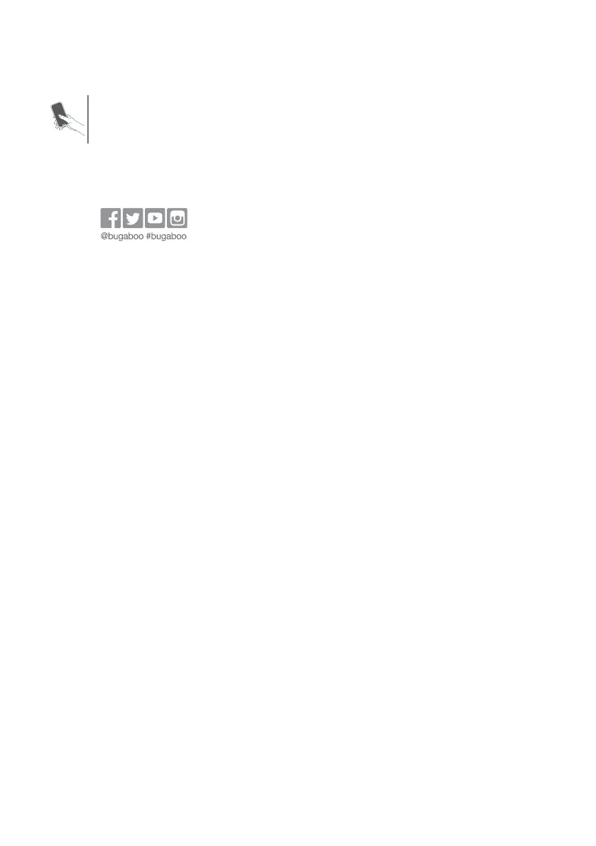 Page #250 background image