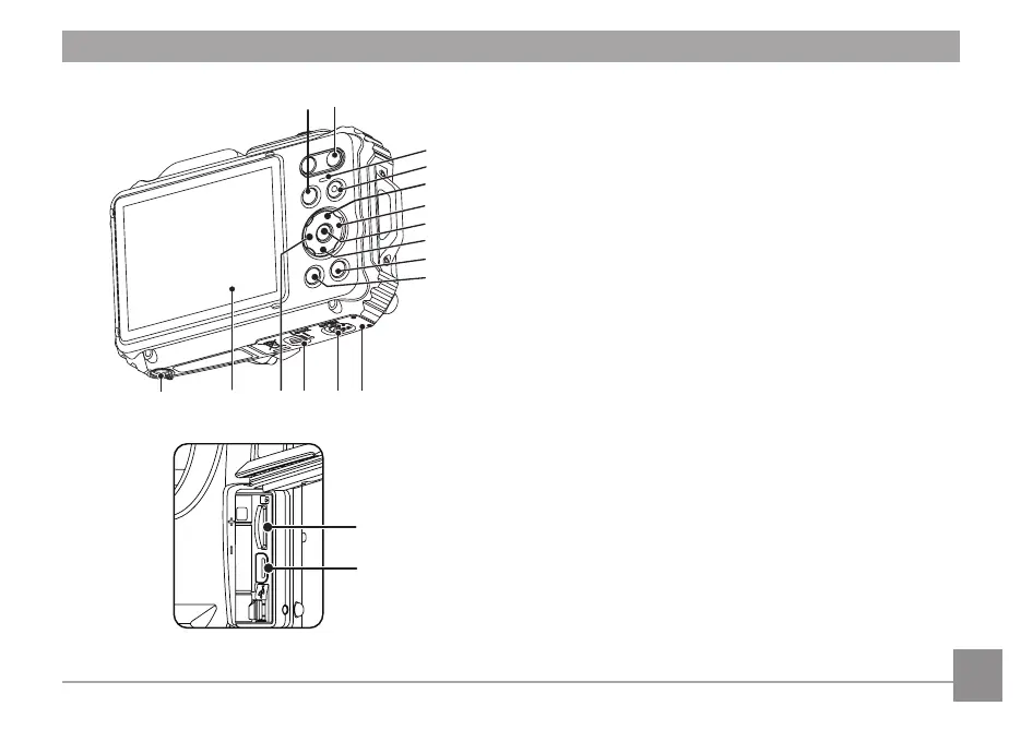 Page #18 background image