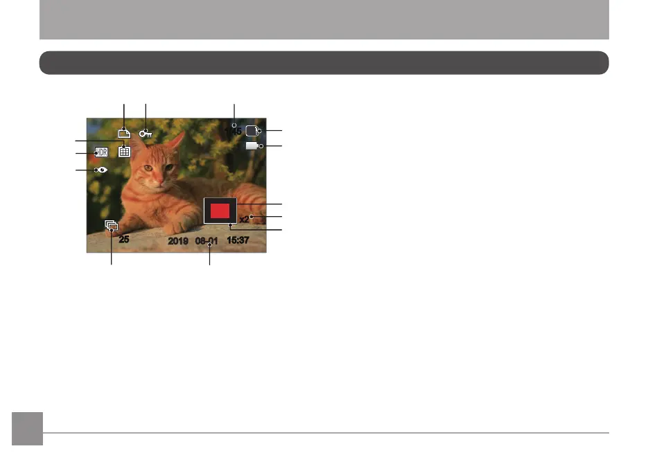 Page #53 background image