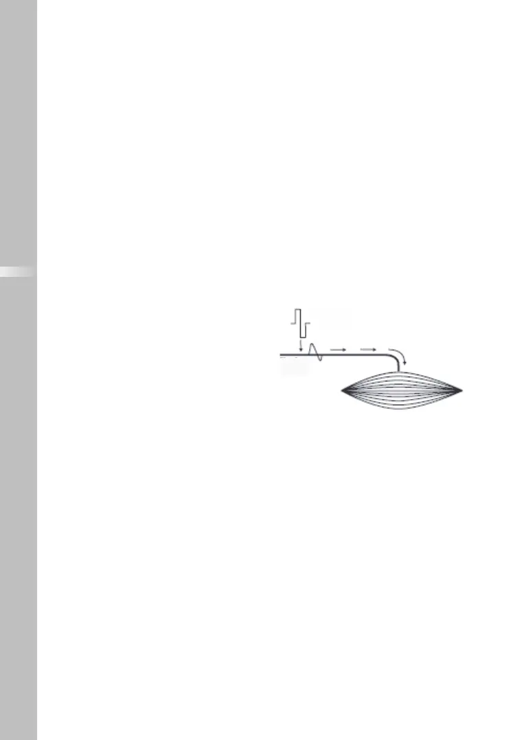 Page #260 background image