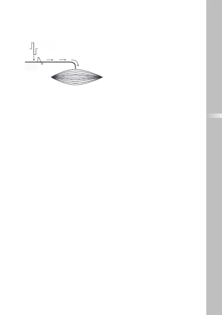 Page #75 background image