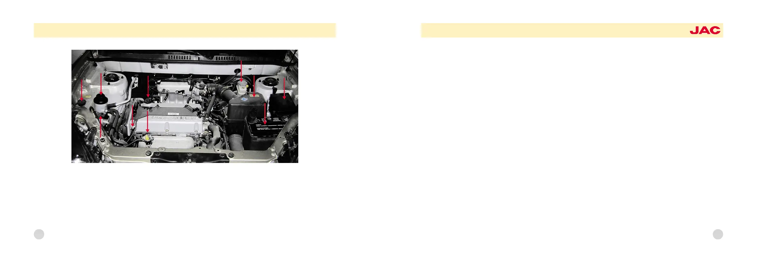 Page #61 background image