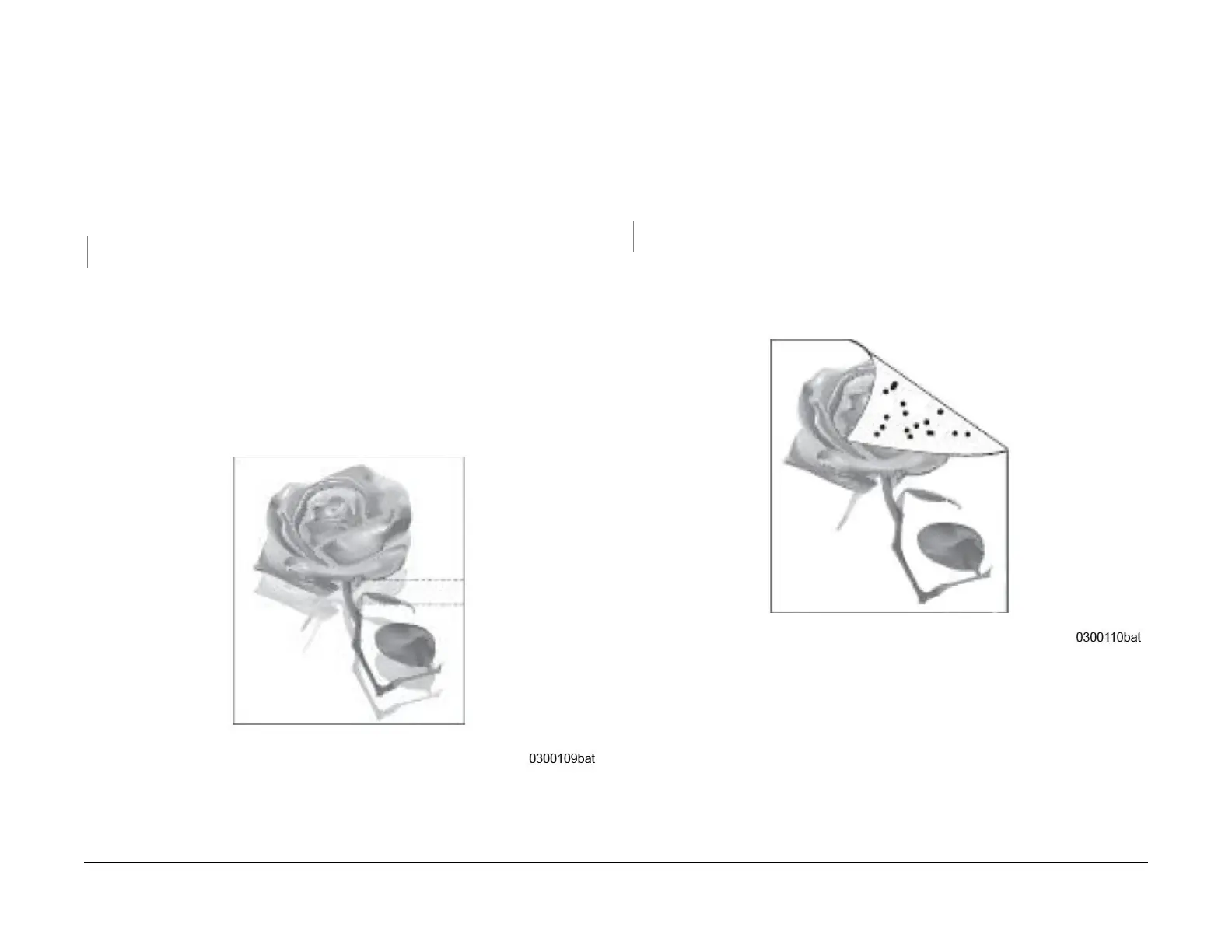 Page #50 background image