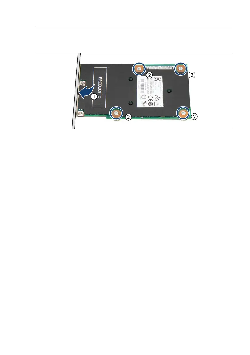 Page #249 background image