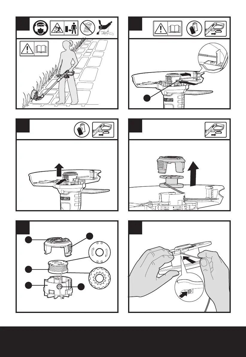 Page #6 background image