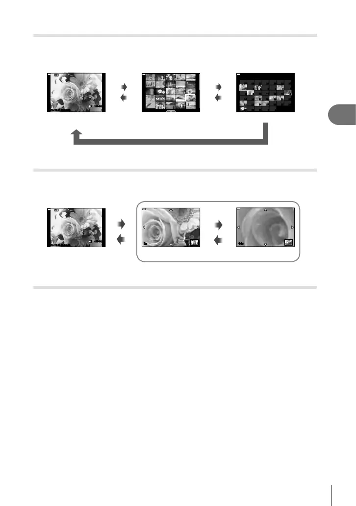 Page #117 background image