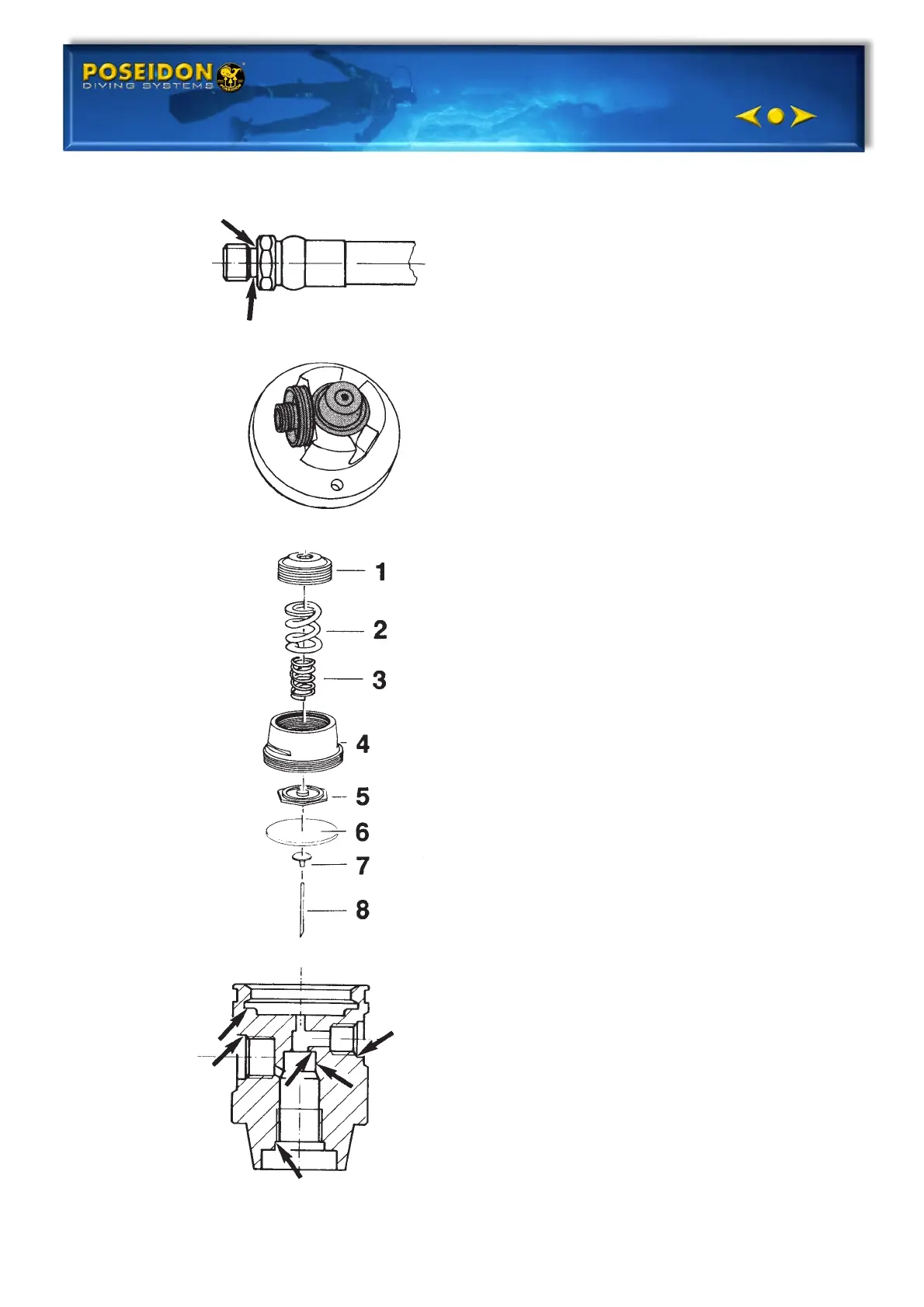 Page #16 background image
