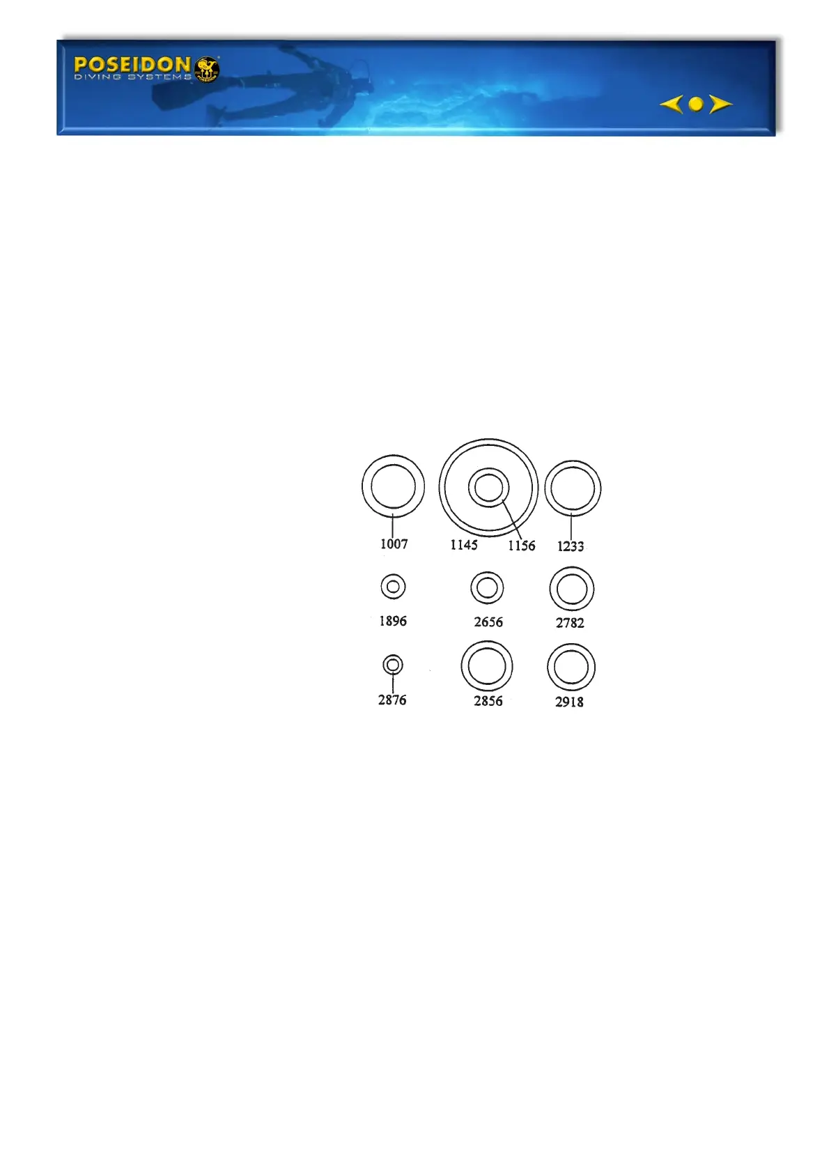 Page #145 background image