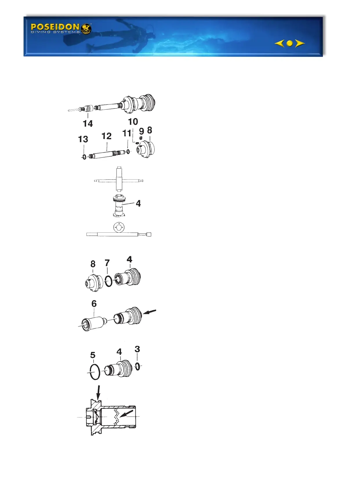 Page #10 background image