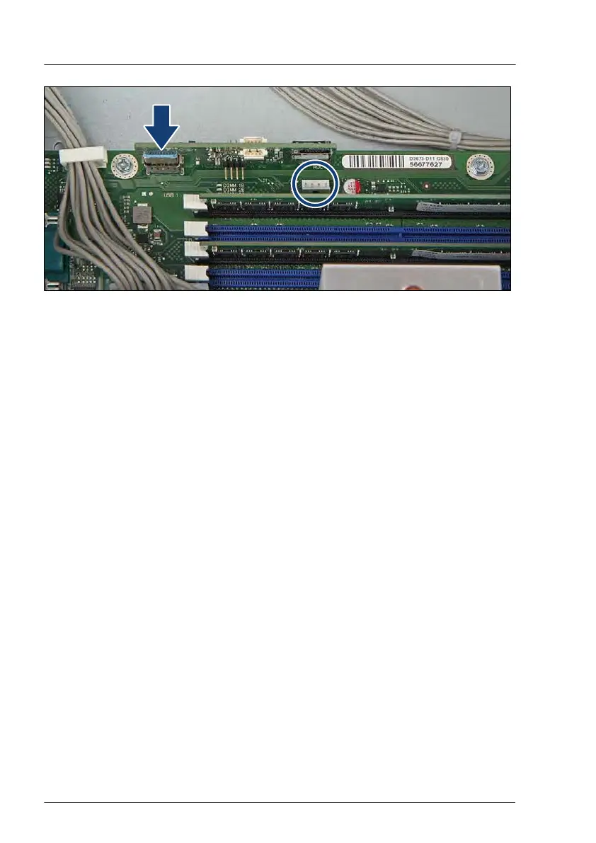 Page #442 background image