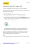 Preview: How-To