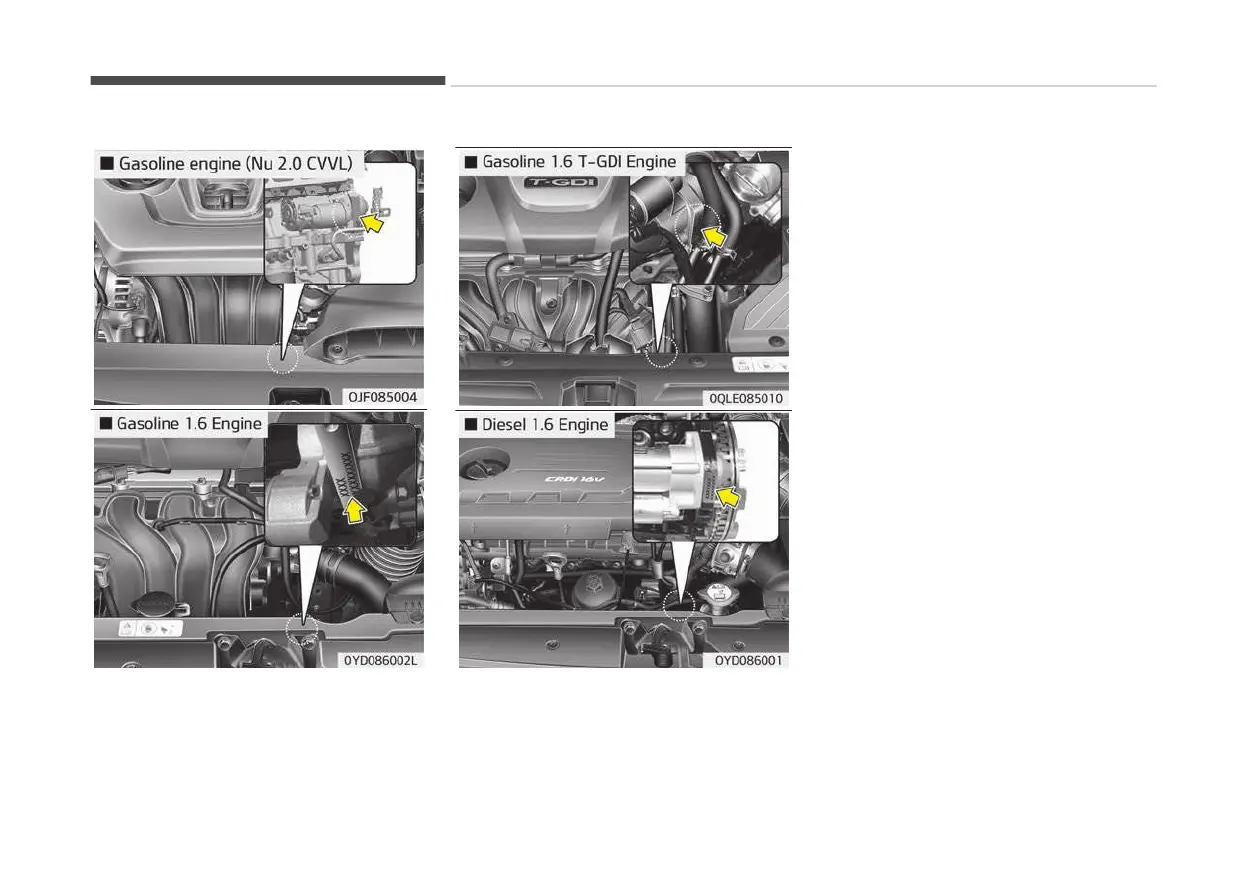 Page #574 background image
