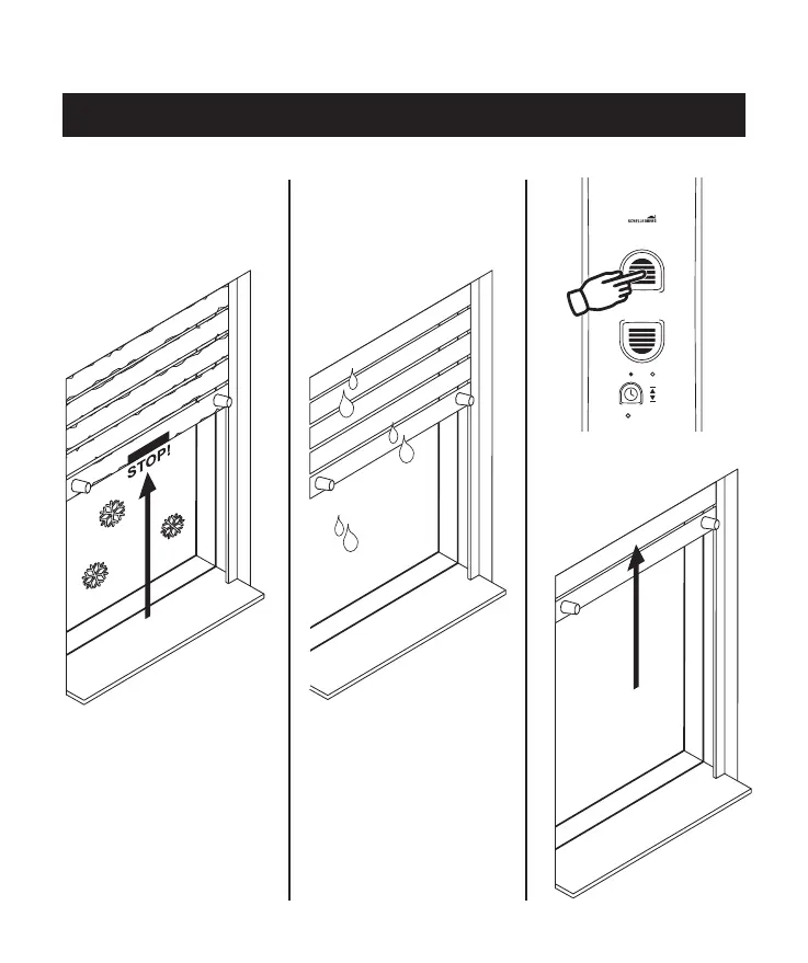 Page #209 background image