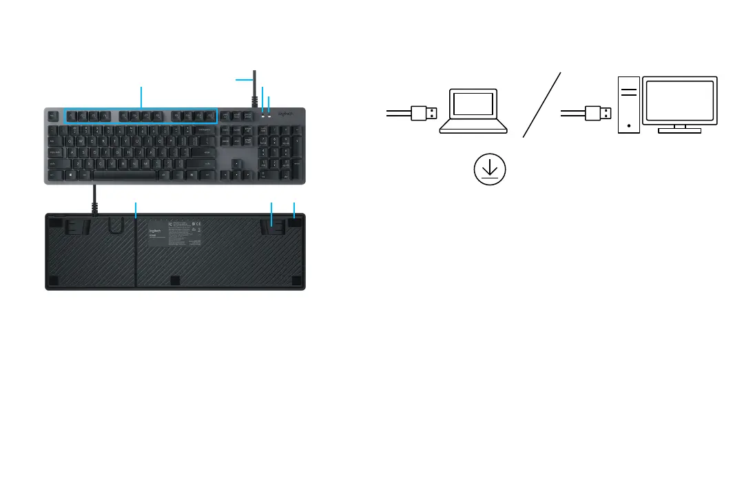 Page #5 background image