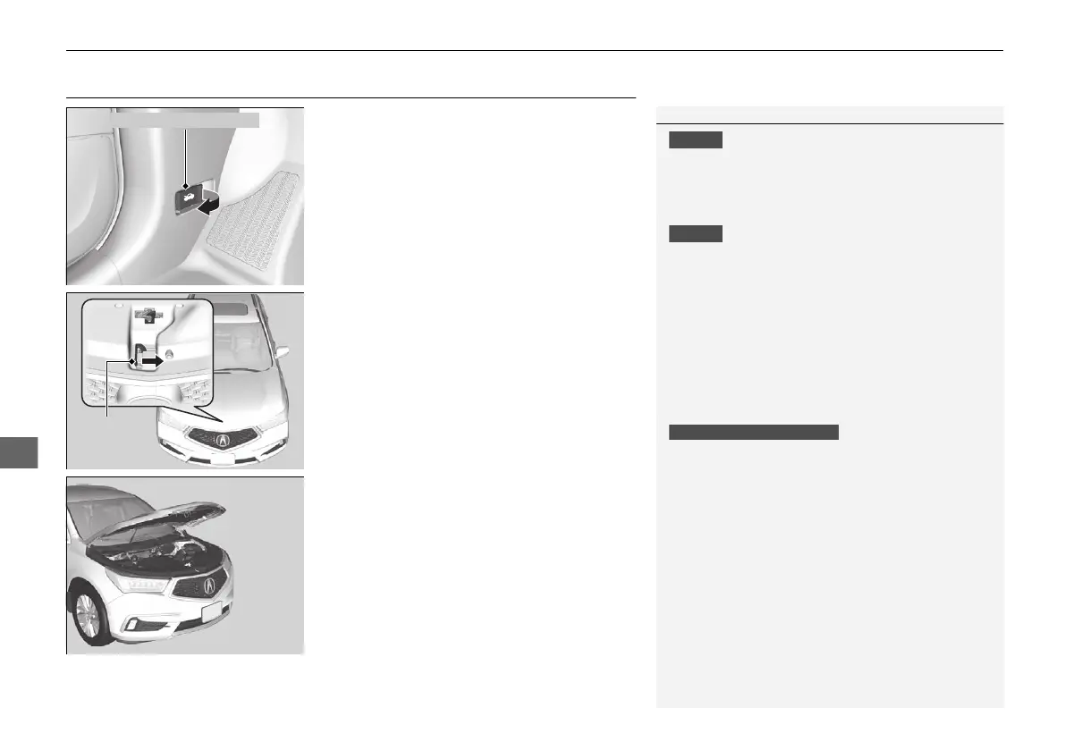 Page #584 background image