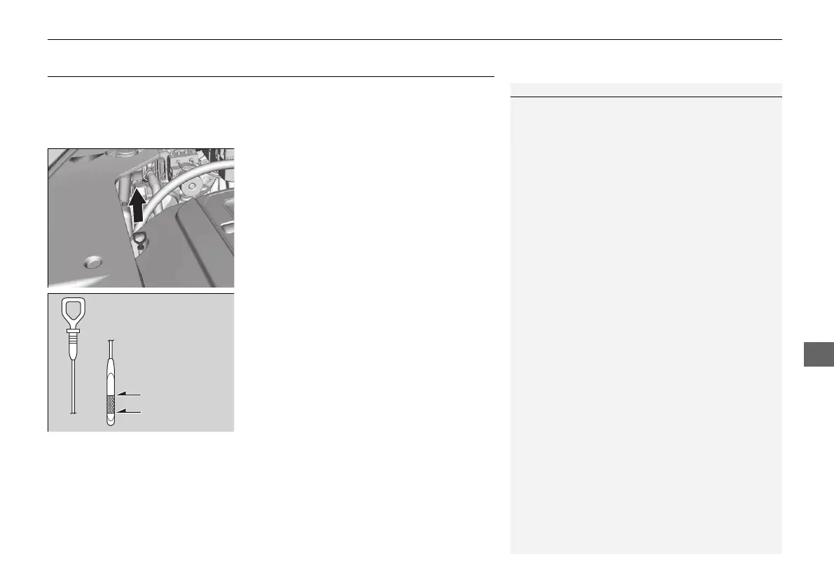 Page #587 background image