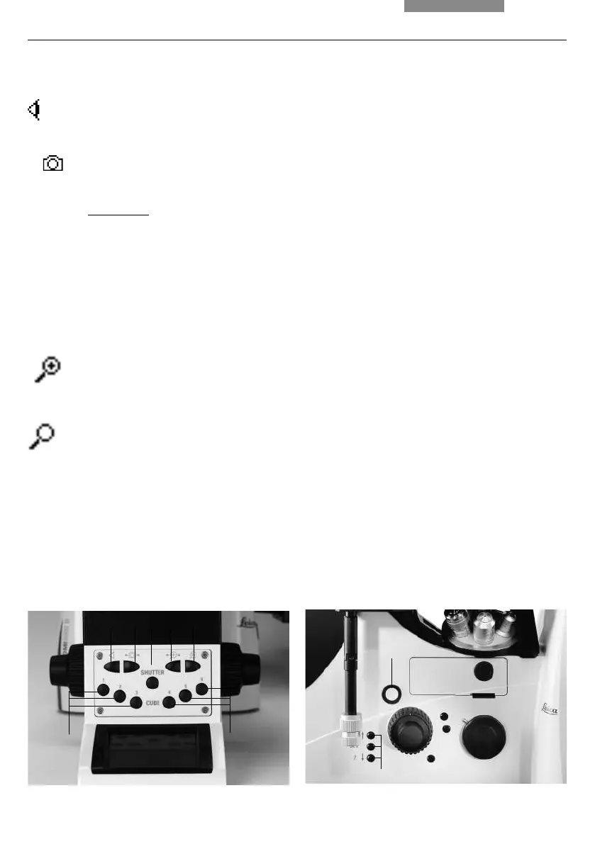 Page #305 background image