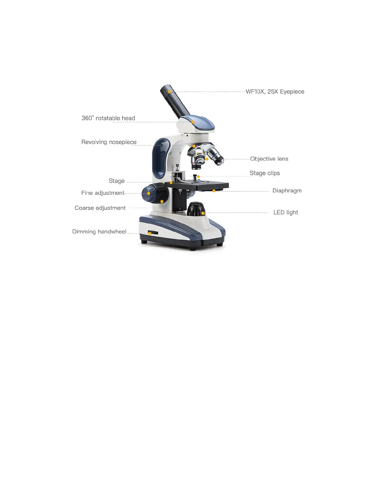 Page #4 background image