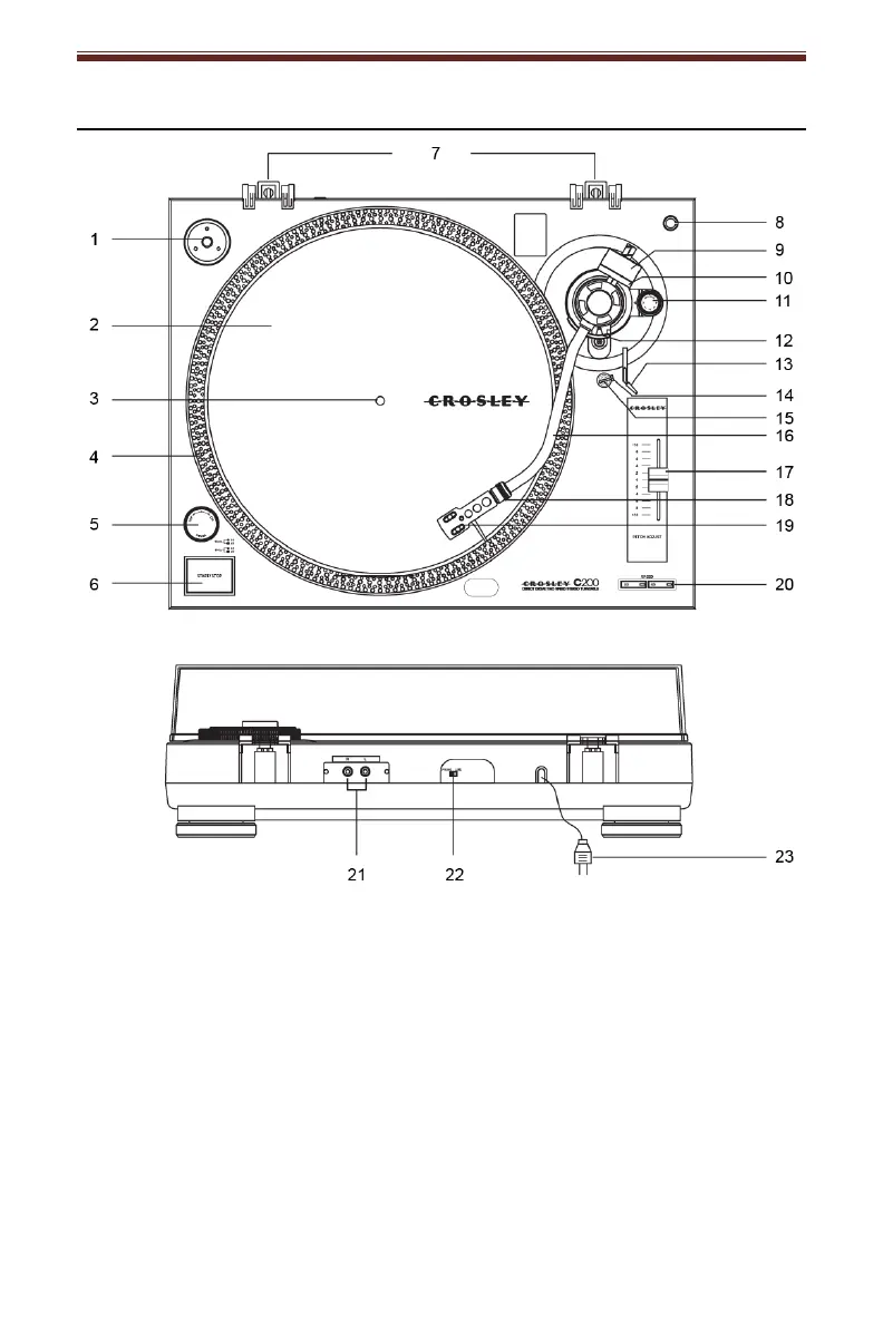 Page #6 background image