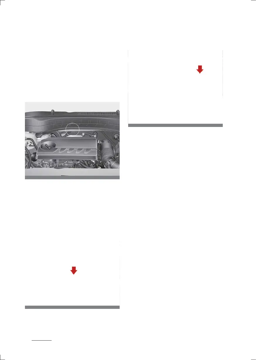 Page #474 background image