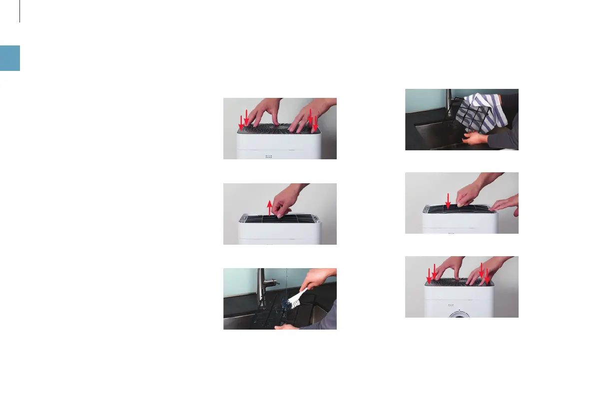 Page #462 background image