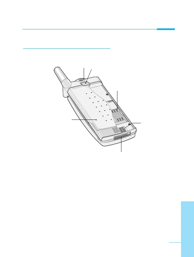 Page #15 background image