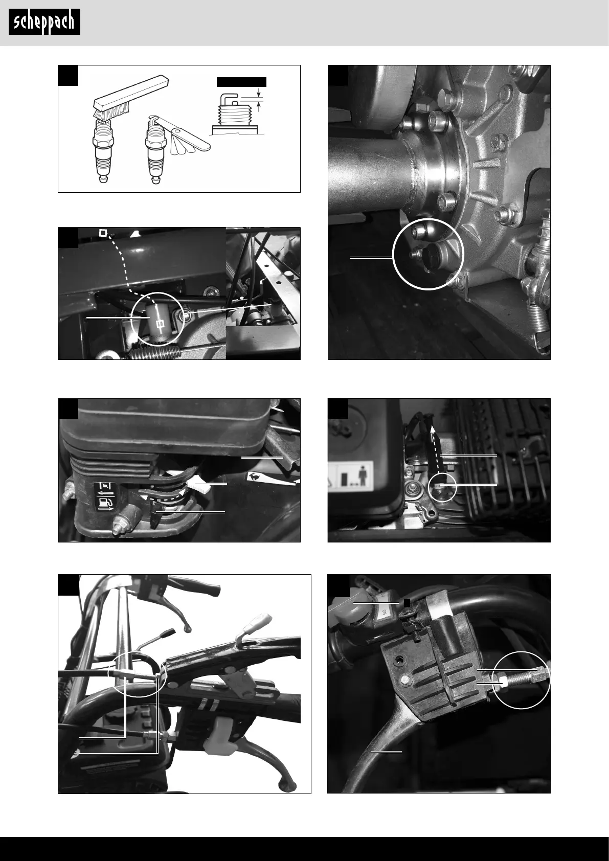 Page #4 background image