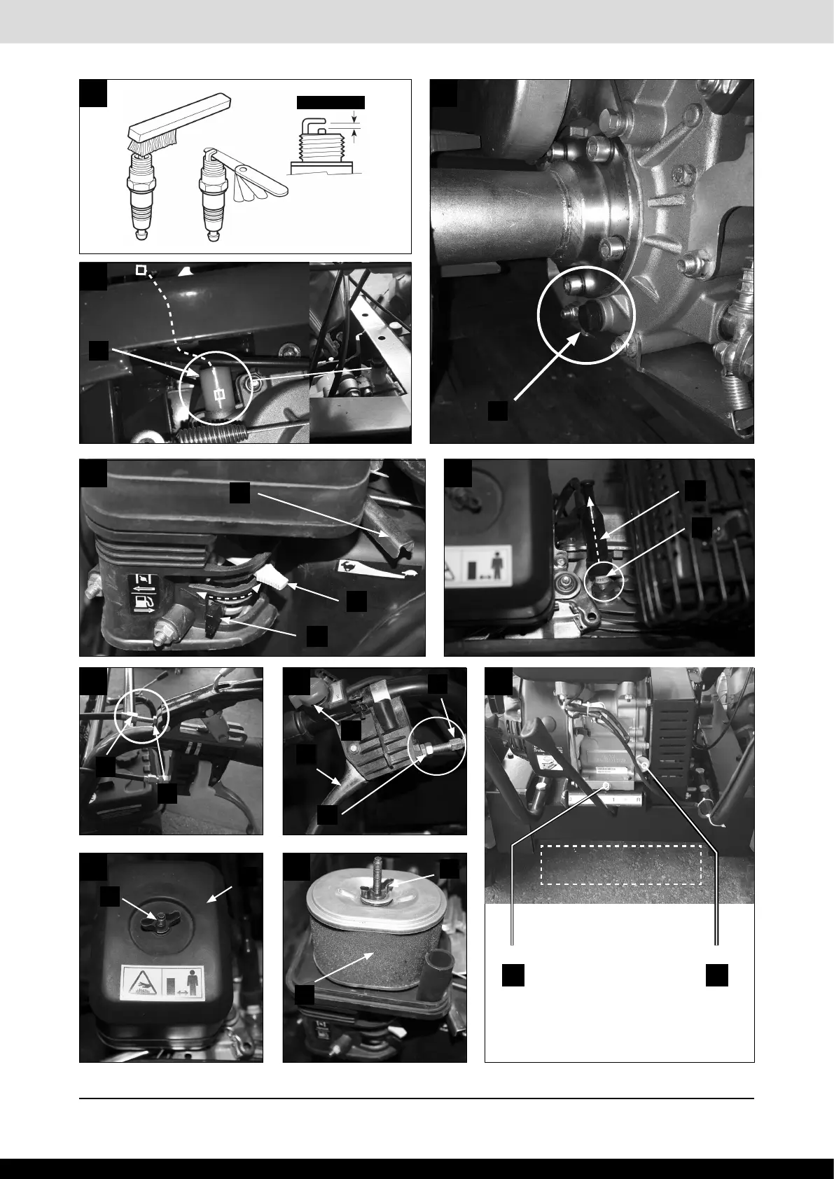 Page #5 background image