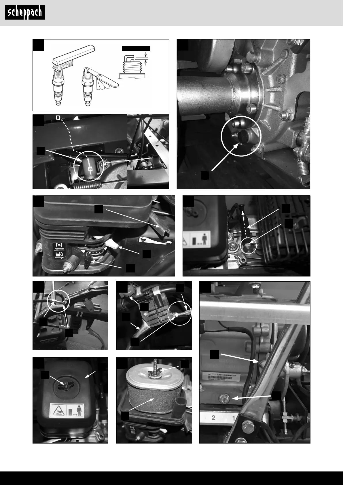 Page #4 background image
