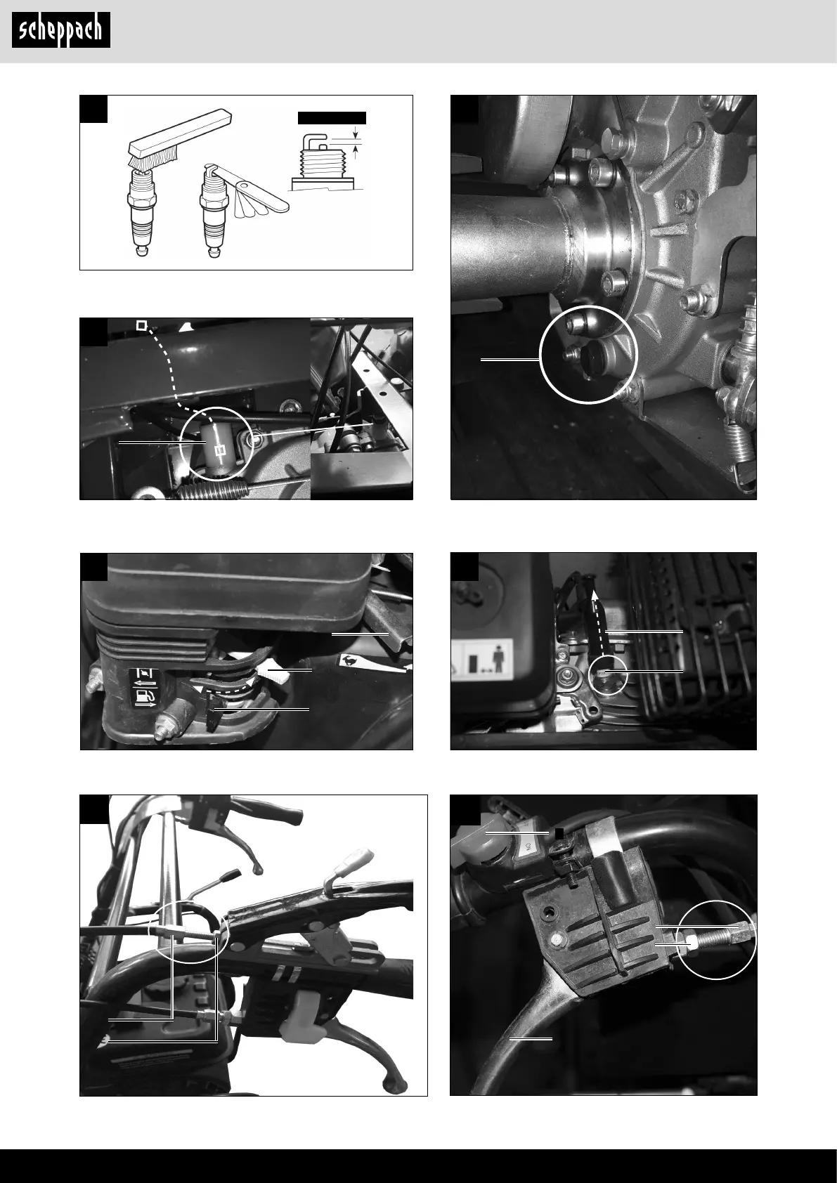 Page #4 background image