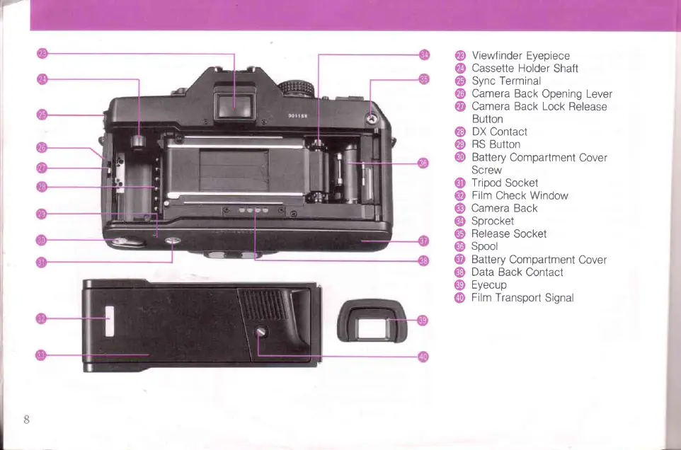 Page #5 background image