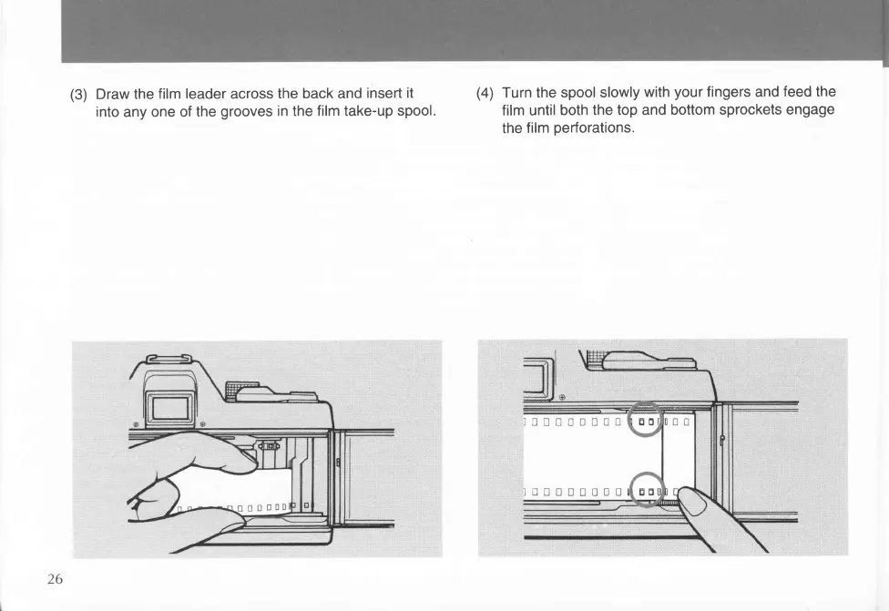 Page #17 background image