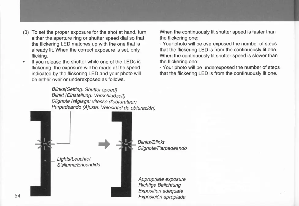 Page #31 background image