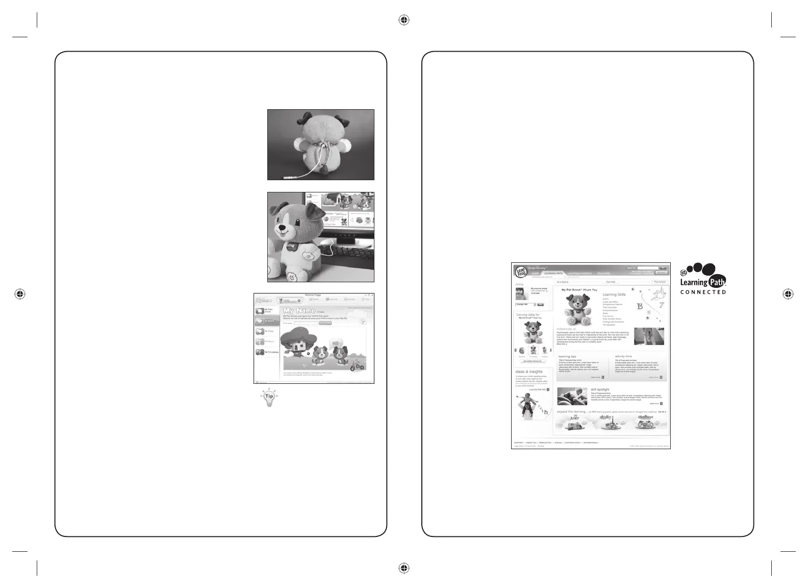 Page #4 background image