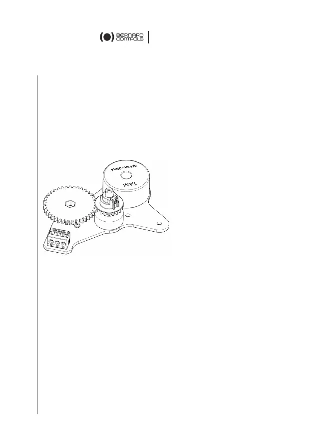 Page #24 background image