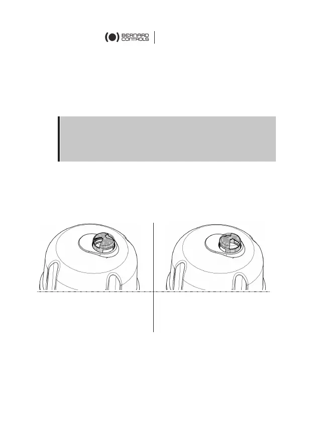 Page #61 background image