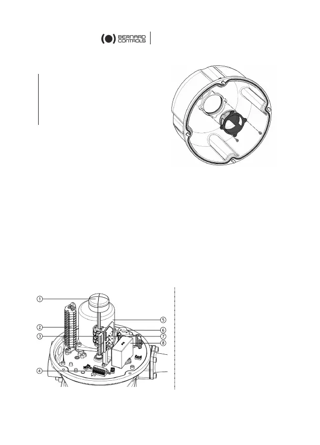Page #62 background image