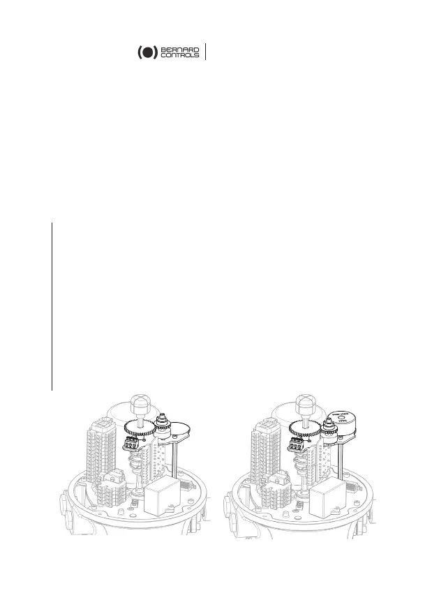Page #64 background image
