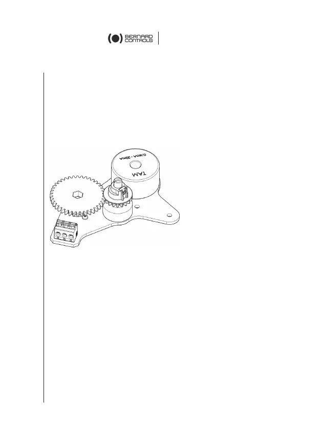 Page #11 background image