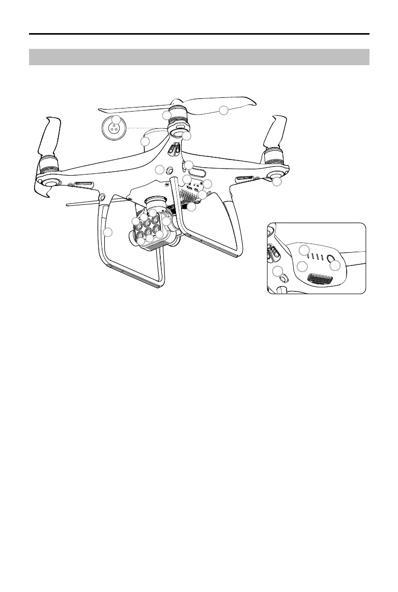 Page #9 background image