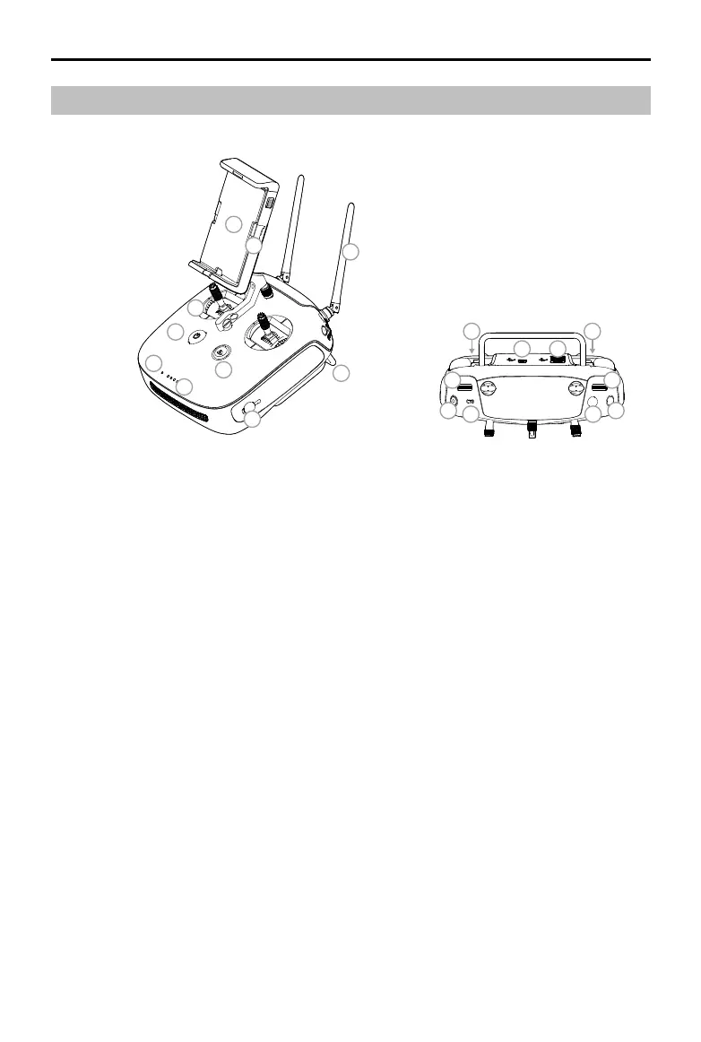 Page #10 background image