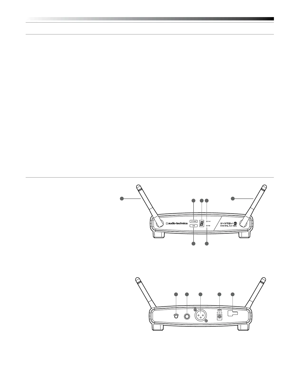 Page #2 background image